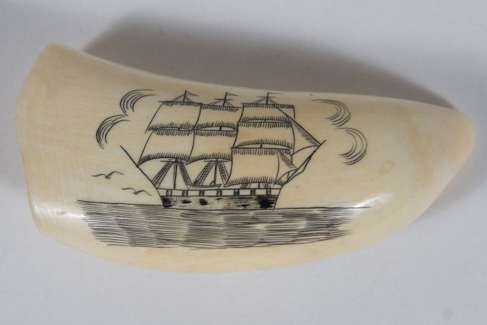 Scrimshaw Whale Tooth, 20th C.: Scrimshaw whale tooth. 20th century. Etched with a sailing ship and a whale and two row boats on reverse. Unsigned. Length 4 1/2".
