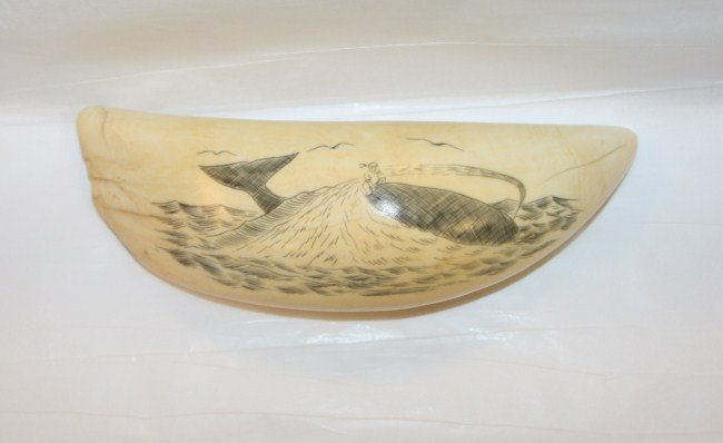 Scrimshaw Whale Tooth, 20th C.: Scrimshaw whale tooth. 20th century. Etched with a sailing ship and a whale on reverse. Length 6 3/4".