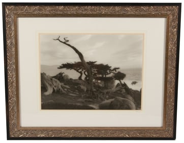 David Lubbers, "Pescadero Pt., Carmel, CA" Photo