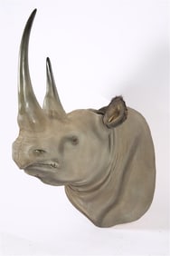 Reproduction Rhino Shoulder Mount