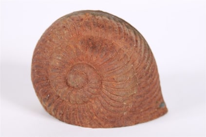 Cast Iron Snail Shell