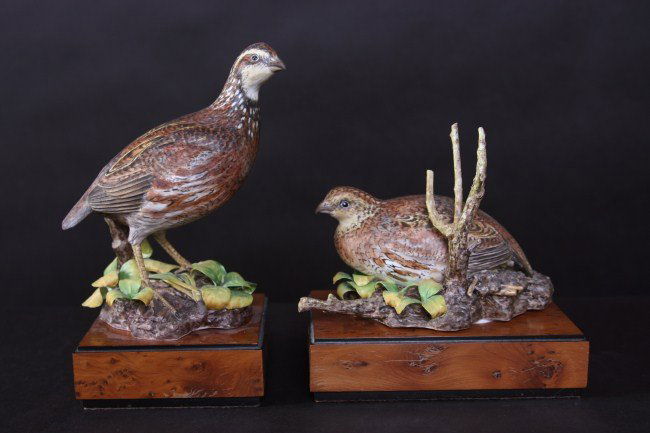 Two Royal Worcester Porcelain Bob White Quails: Two Royal Worcester porcelain figures of bob white quails. English, 20th century. Modeled by R. van Ruyckevelt. Larger height 7 1/2", width 6". Condition: Appear fine.