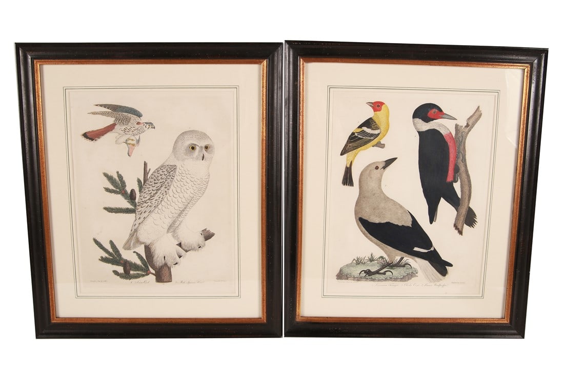 Alexander Wilson, "American Ornithology" Pair (1 of 10)