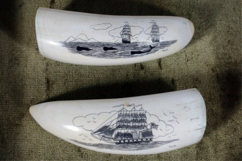 Two Scrimshaw Whales' Teeth, 20th C. American: Two scrimshaw whales' teeth. American, 20th century. Both etched with whaling ships and initialed "njk". Length 4 1/2". Condition: With chips to the tooth socket. Framed together.