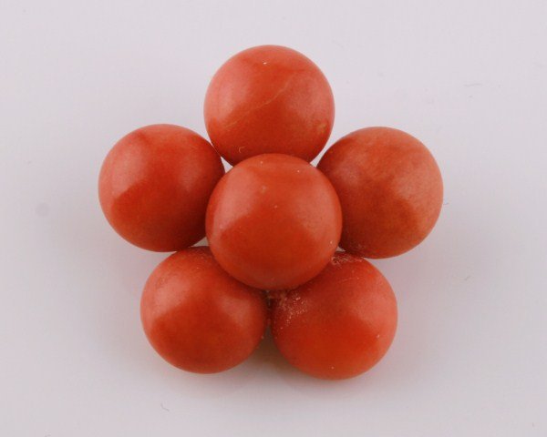 Victorian Natural Coral Flower Pin: Victorian natural coral flower pin set in gold plate. Total weight 11.7 grams.