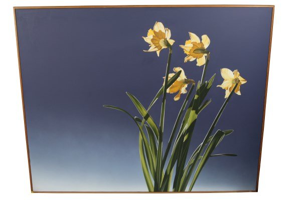 Jochen Labriola (20th C.), Daffodils (1 of 2)