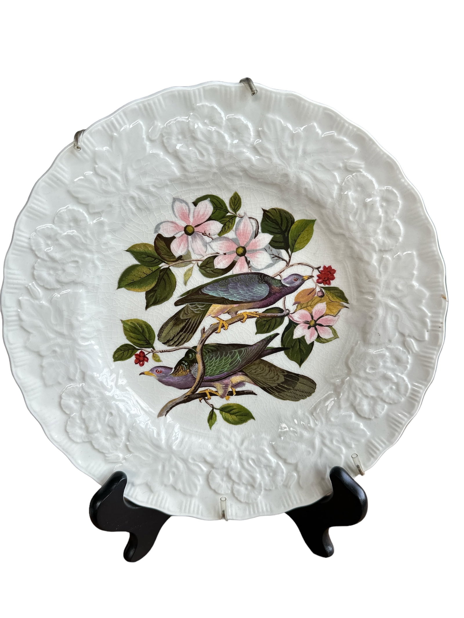 Alfred Meakin Birds of America "BAND-TAILED PIDEON" Salad Plate: The Alfred Meakin "BAND-TAILED PIDEON", numbered 367 in the Birds of America series, features a delicate yet vibrant illustration of the now-extinct BAND-TAILED PIDEON. Crafted with intricate detail, 