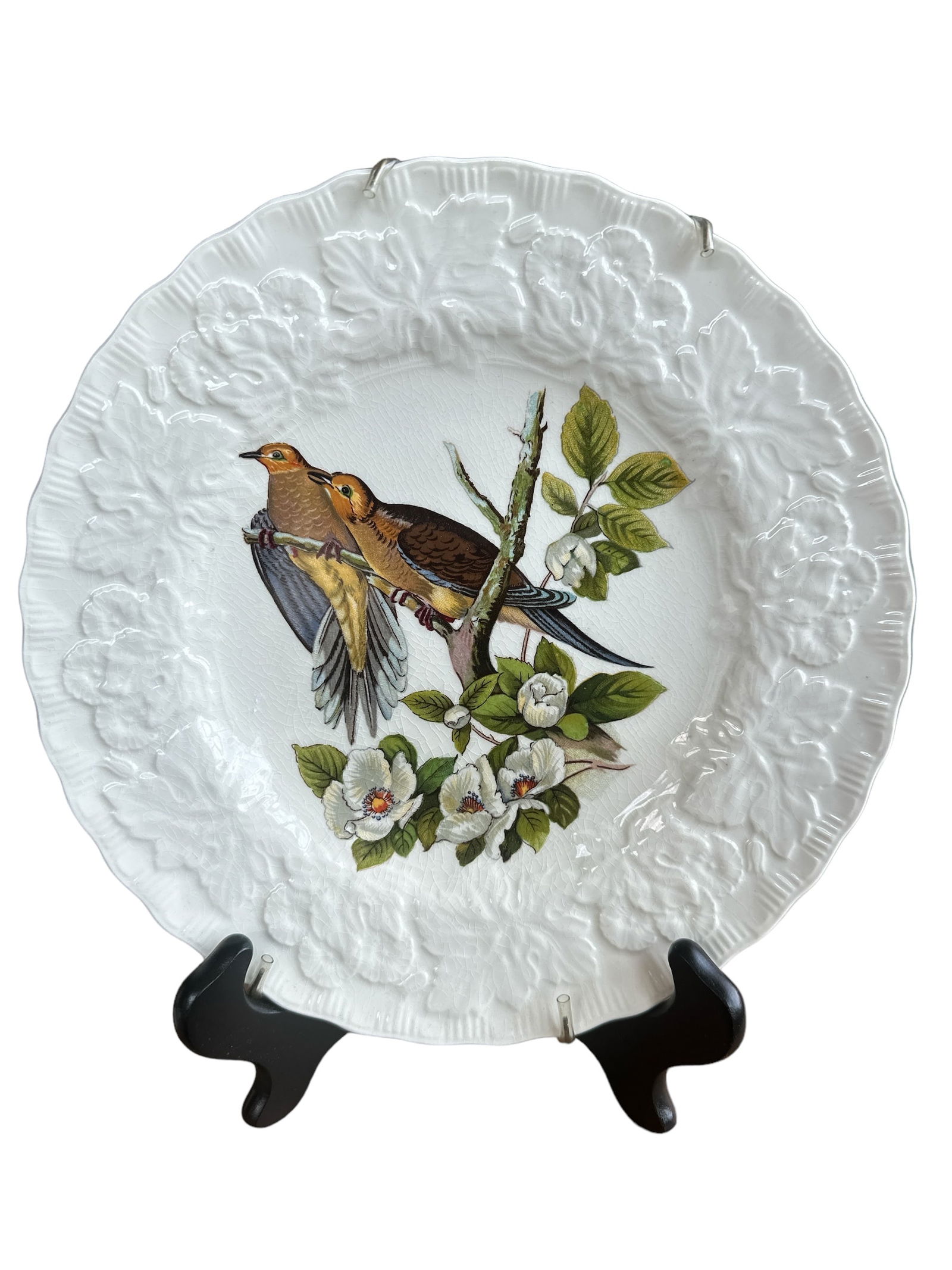 Alfred Meakin Birds of America "CAROLINA TURTLE DOVE" Salad Plate (1 of 3)