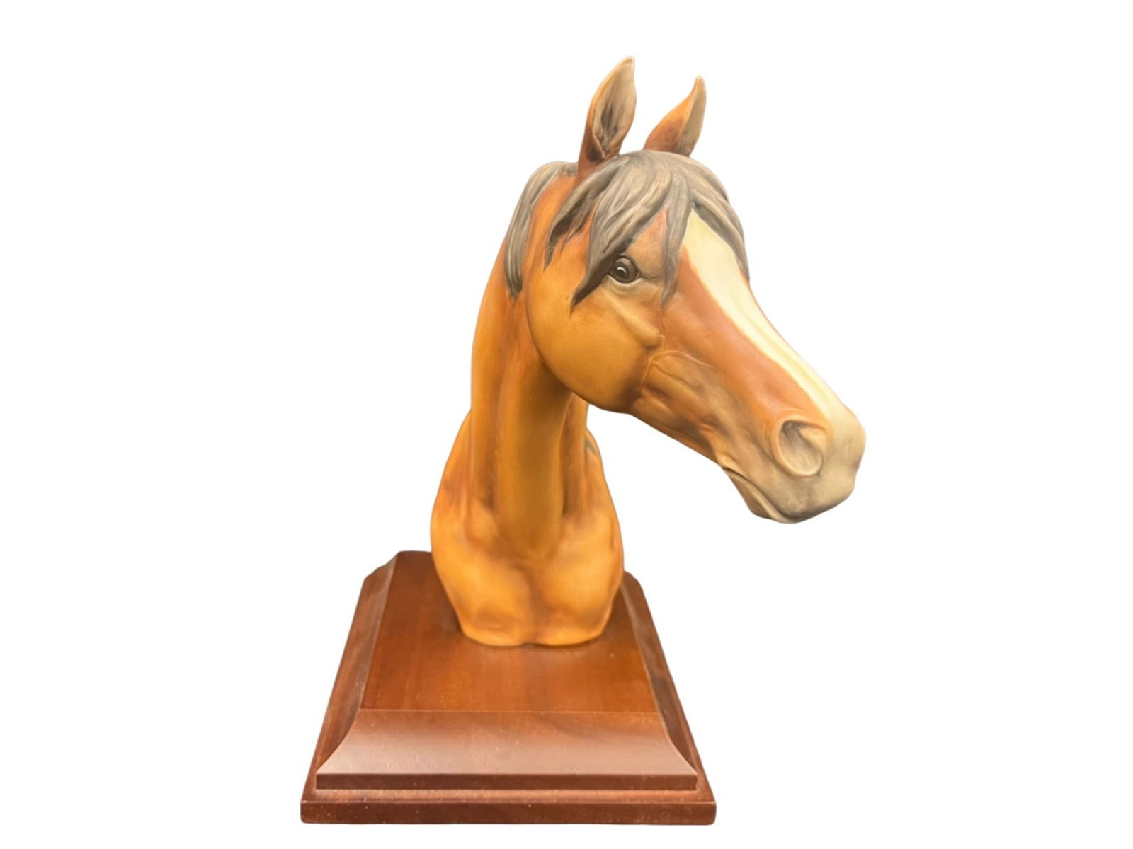 Arabian Stallion Head by Kaiser of Germany: Arabian Stallion Head by Kaiser of Germany Marking on Bottom 9.75”T x 5”W x 9”D with box