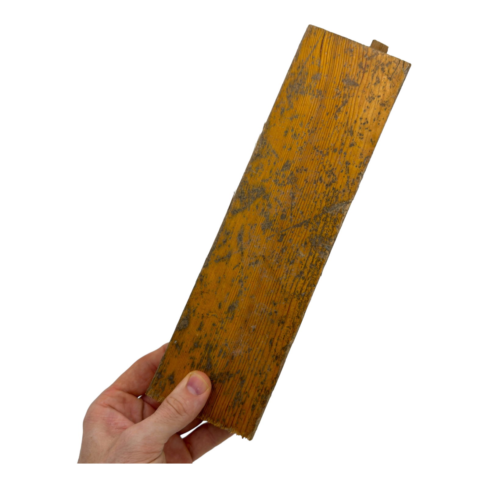 WOOD FLOOR PIECE FROM HITLER’S PRIVATE BERGHOF BUNKER LIVING ROOM (1 of 3)