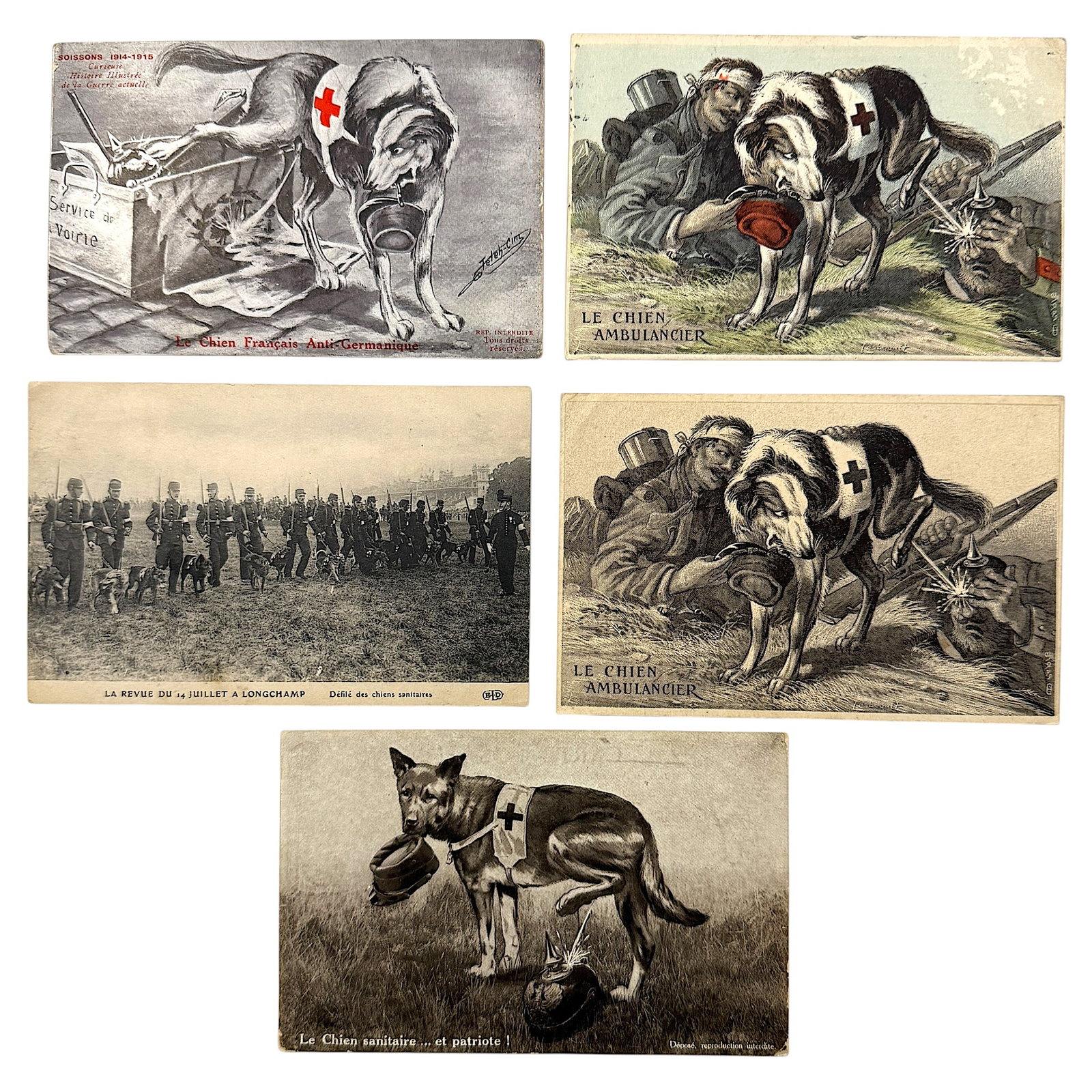 Set of French First World War anti-German medical postcards featuring Red Cross rescue dogs: This lot comprises a set of five French First World War anti-German medical postcards featuring Red Cross rescue dogs in both illustrated and photographic scenes. The cards portray ambulance dogs assi