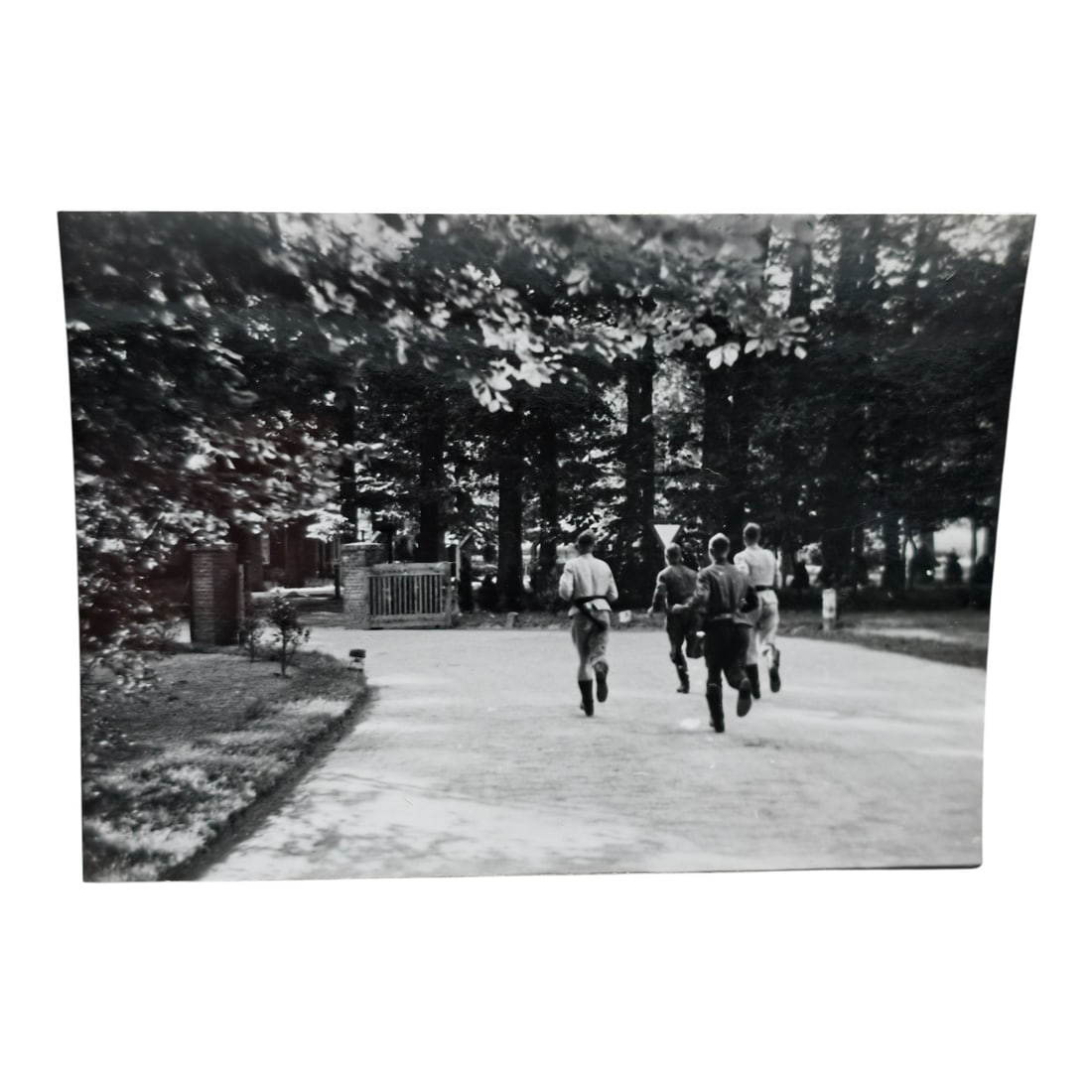 Unpublished Dutch Waffen SS Volunteer Legion Avegoor Training Center 1943 Photograph: Unpublished Dutch Waffen SS Volunteer Legion Avegoor Training Center 1943 Photograph. Extremely rare unpublished photograph discovery from the Dutch Waffen SS training center in Avegoor, Netherlands.