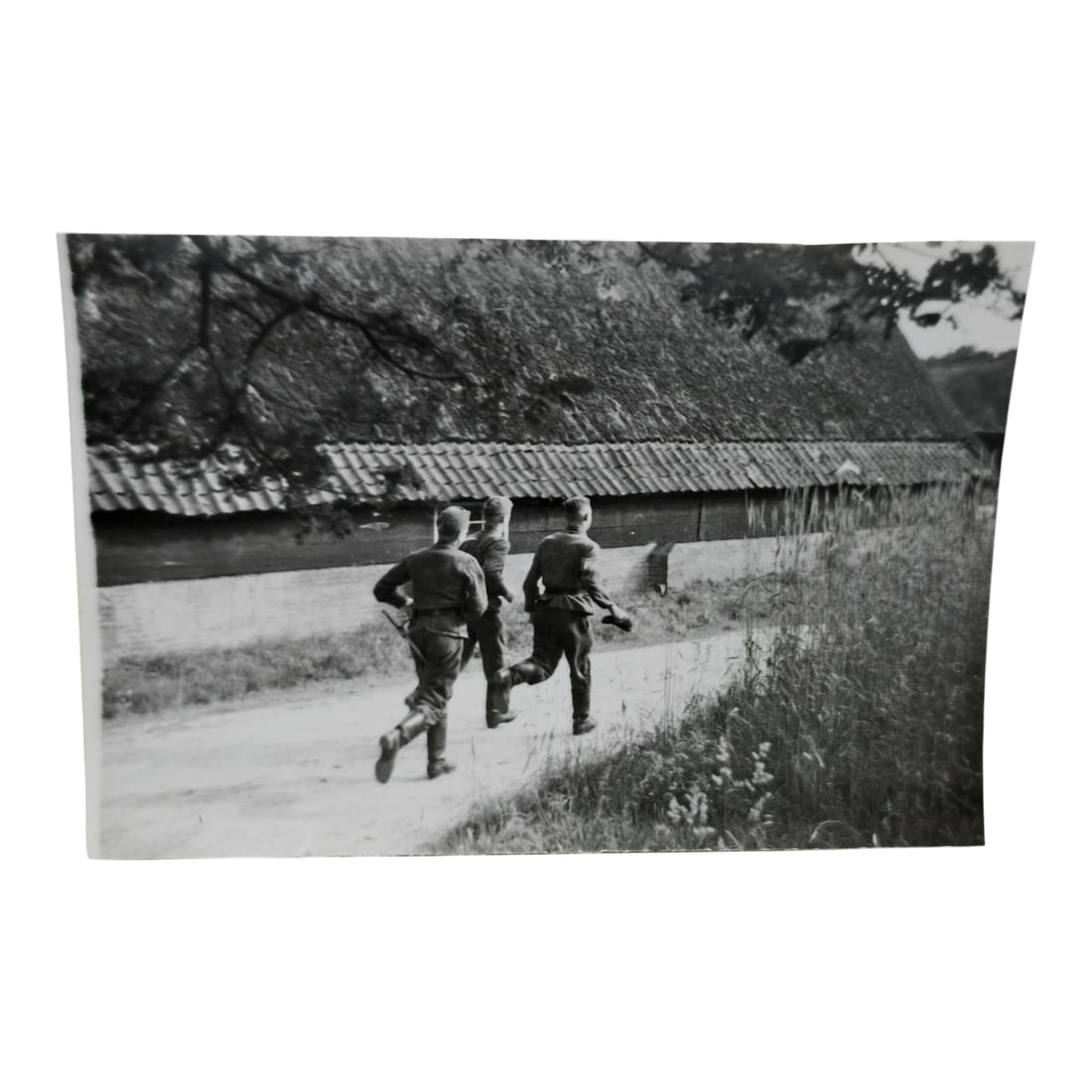 Unpublished Dutch Waffen SS Volunteer Legion Avegoor Training Center 1943 Photograph: Unpublished Dutch Waffen SS Volunteer Legion Avegoor Training Center 1943 Photograph. Extremely rare unpublished photograph discovery from the Dutch Waffen SS training center in Avegoor, Netherlands.