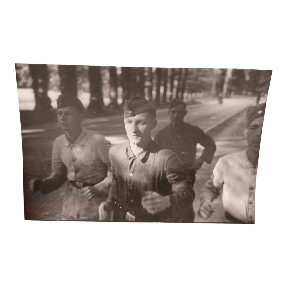 Unpublished Dutch Waffen SS Volunteer Legion Avegoor Training Center 1943 Photograph: Unpublished Dutch Waffen SS Volunteer Legion Avegoor Training Center 1943 Photograph. Extremely rare unpublished photograph discovery from the Dutch Waffen SS training center in Avegoor, Netherlands.