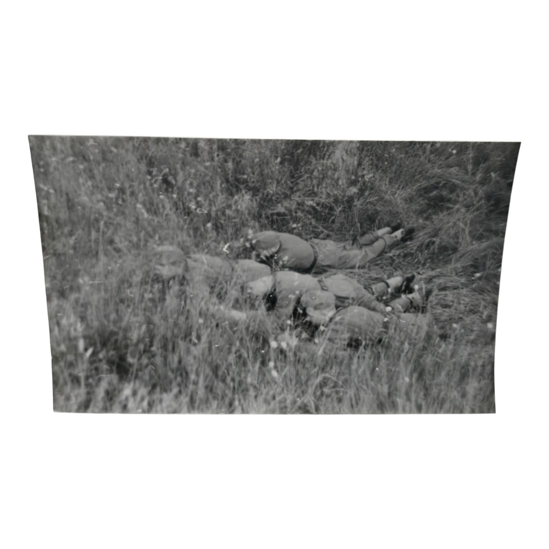 Unpublished Dutch Waffen SS Volunteer Legion Avegoor Training Center 1943 Photograph: Unpublished Dutch Waffen SS Volunteer Legion Avegoor Training Center 1943 Photograph. Extremely rare unpublished photograph discovery from the Dutch Waffen SS training center in Avegoor, Netherlands.