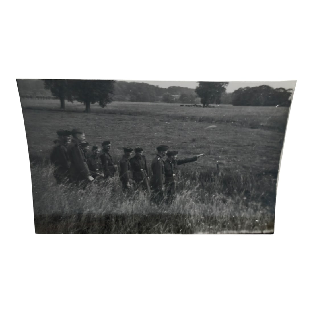 Unpublished Dutch Waffen SS Volunteer Legion Avegoor Training Center 1943 Photograph: Unpublished Dutch Waffen SS Volunteer Legion Avegoor Training Center 1943 Photograph. Extremely rare unpublished photograph discovery from the Dutch Waffen SS training center in Avegoor, Netherlands.