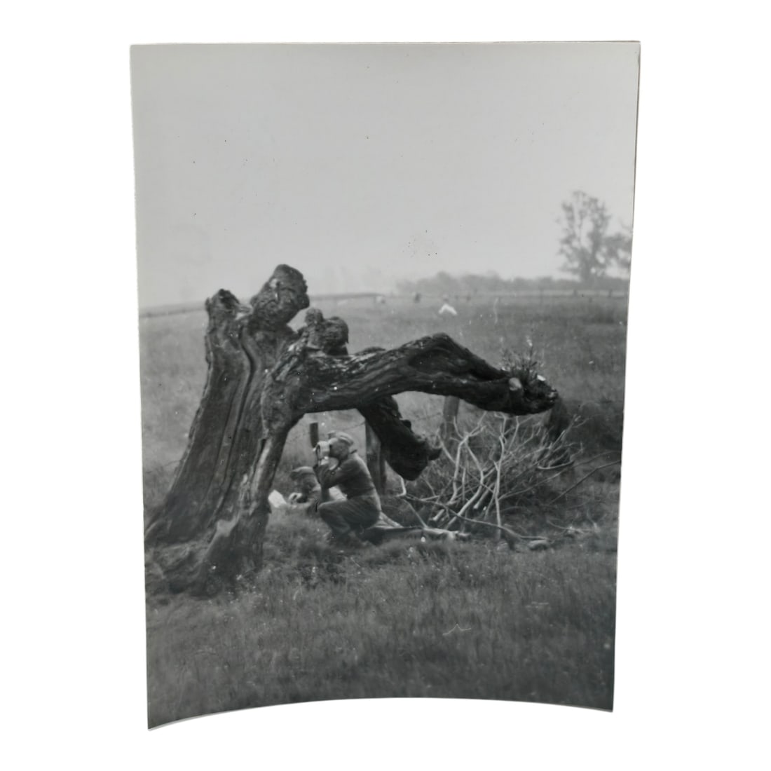 Unpublished Dutch Waffen SS Volunteer Legion Avegoor Training Center 1943 Photograph: Unpublished Dutch Waffen SS Volunteer Legion Avegoor Training Center 1943 Photograph. Extremely rare unpublished photograph discovery from the Dutch Waffen SS training center in Avegoor, Netherlands.