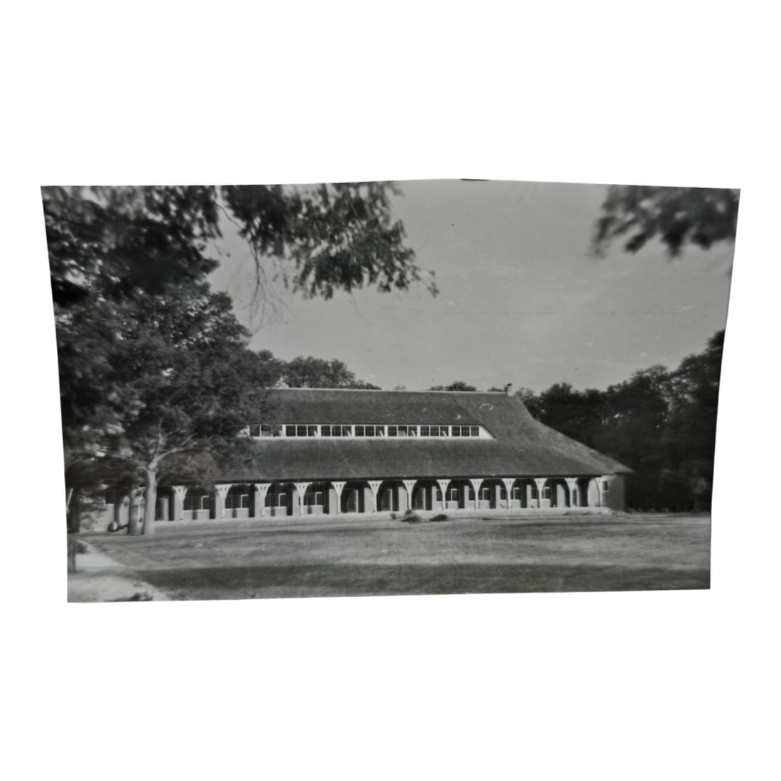 Unpublished Dutch Waffen SS Volunteer Legion Avegoor Training Center 1943 Photograph: Unpublished Dutch Waffen SS Volunteer Legion Avegoor Training Center 1943 Photograph. Extremely rare unpublished photograph discovery from the Dutch Waffen SS training center in Avegoor, Netherlands.