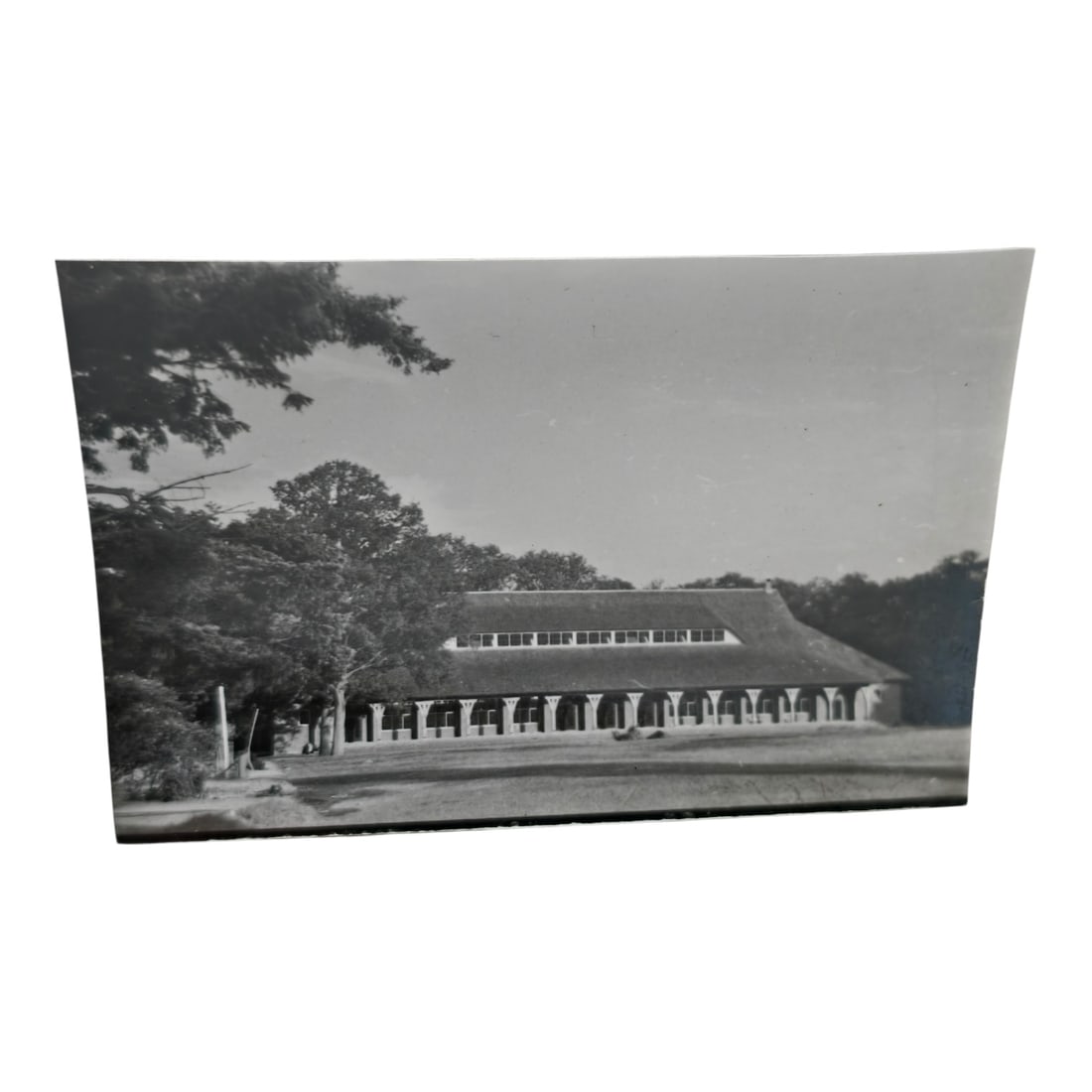 Unpublished Dutch Waffen SS Volunteer Legion Avegoor Training Center 1943 Photograph: Unpublished Dutch Waffen SS Volunteer Legion Avegoor Training Center 1943 Photograph. Extremely rare unpublished photograph discovery from the Dutch Waffen SS training center in Avegoor, Netherlands.