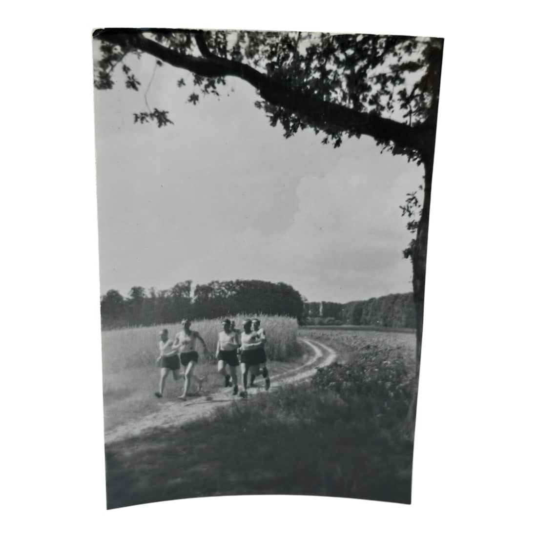 Unpublished Dutch Waffen SS Volunteer Legion Avegoor Training Center 1943 Photograph: Unpublished Dutch Waffen SS Volunteer Legion Avegoor Training Center 1943 Photograph. Extremely rare unpublished photograph discovery from the Dutch Waffen SS training center in Avegoor, Netherlands.