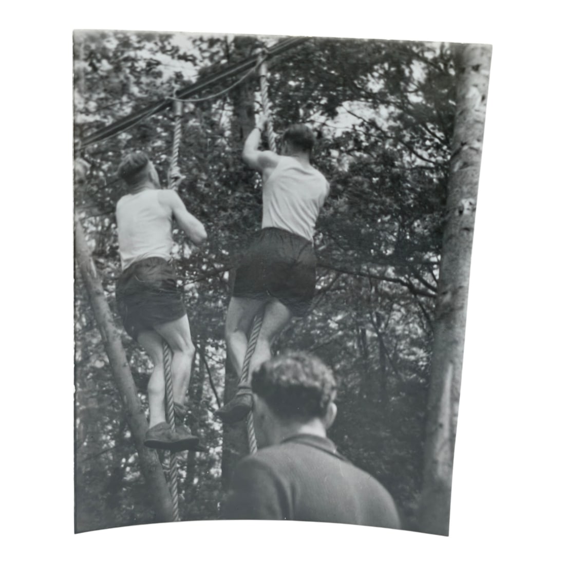 Unpublished Dutch Waffen SS Volunteer Legion Avegoor Training Center 1943 Photograph: Unpublished Dutch Waffen SS Volunteer Legion Avegoor Training Center 1943 Photograph. Extremely rare unpublished photograph discovery from the Dutch Waffen SS training center in Avegoor, Netherlands.