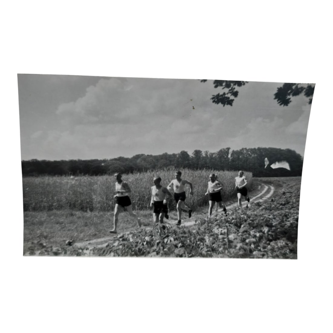 Unpublished Dutch Waffen SS Volunteer Legion Avegoor Training Center 1943 Photograph: Unpublished Dutch Waffen SS Volunteer Legion Avegoor Training Center 1943 Photograph. Extremely rare unpublished photograph discovery from the Dutch Waffen SS training center in Avegoor, Netherlands.