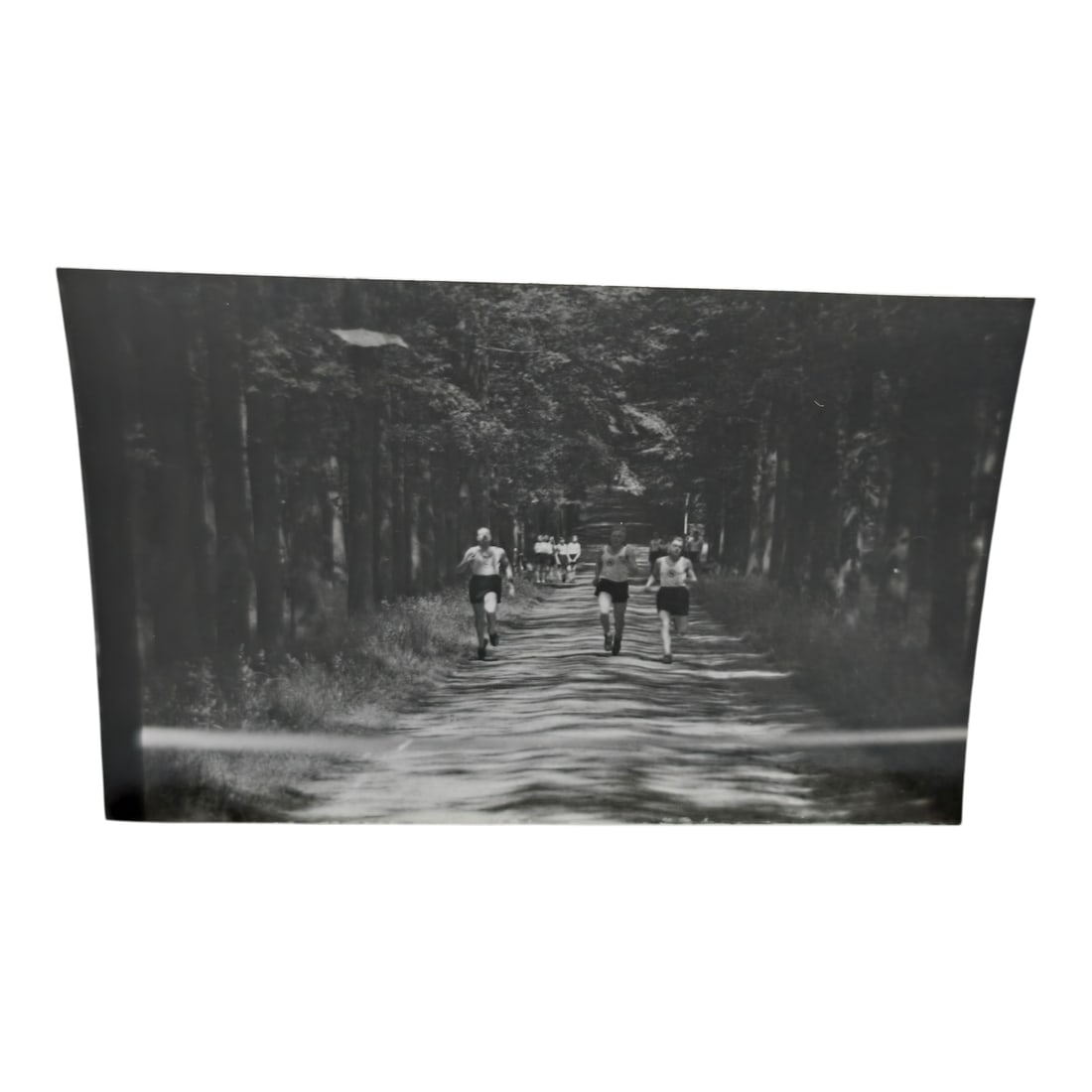 Unpublished Dutch Waffen SS Volunteer Legion Avegoor Training Center 1943 Photograph: Unpublished Dutch Waffen SS Volunteer Legion Avegoor Training Center 1943 Photograph. Extremely rare unpublished photograph discovery from the Dutch Waffen SS training center in Avegoor, Netherlands.