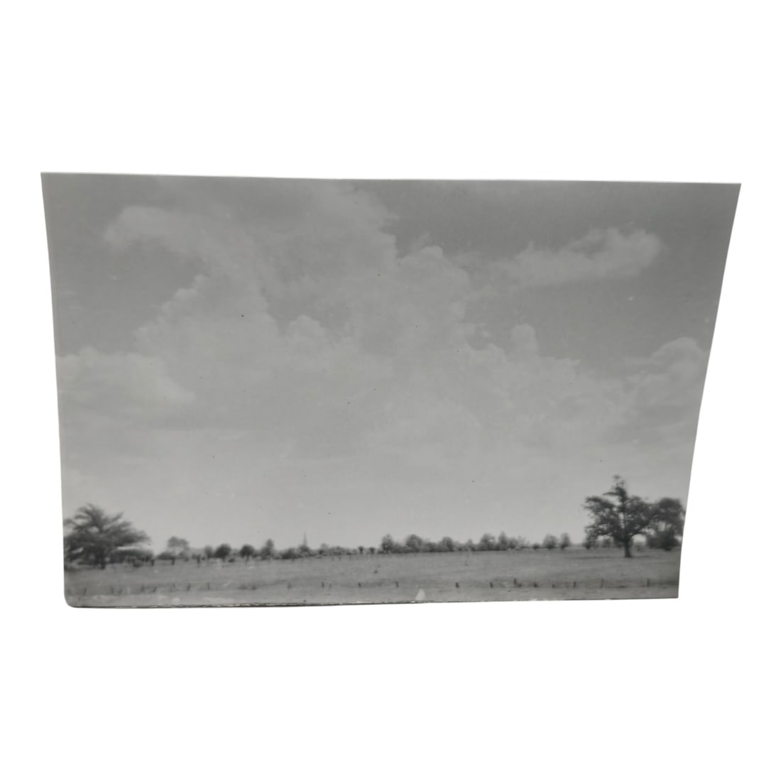 Unpublished Dutch Waffen SS Volunteer Legion Avegoor Training Center 1943 Photograph: Unpublished Dutch Waffen SS Volunteer Legion Avegoor Training Center 1943 Photograph. Extremely rare unpublished photograph discovery from the Dutch Waffen SS training center in Avegoor, Netherlands.