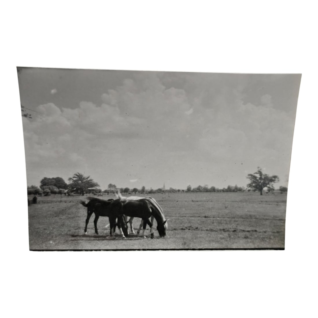 Unpublished Dutch Waffen SS Volunteer Legion Avegoor Training Center 1943 Photograph: Unpublished Dutch Waffen SS Volunteer Legion Avegoor Training Center 1943 Photograph. Extremely rare unpublished photograph discovery from the Dutch Waffen SS training center in Avegoor, Netherlands.