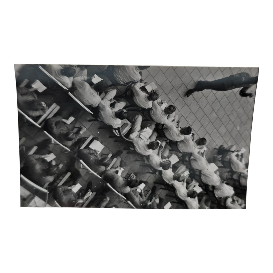 Unpublished Dutch Waffen SS Volunteer Legion Avegoor Training Center 1943 Photograph: Unpublished Dutch Waffen SS Volunteer Legion Avegoor Training Center 1943 Photograph. Extremely rare unpublished photograph discovery from the Dutch Waffen SS training center in Avegoor, Netherlands.