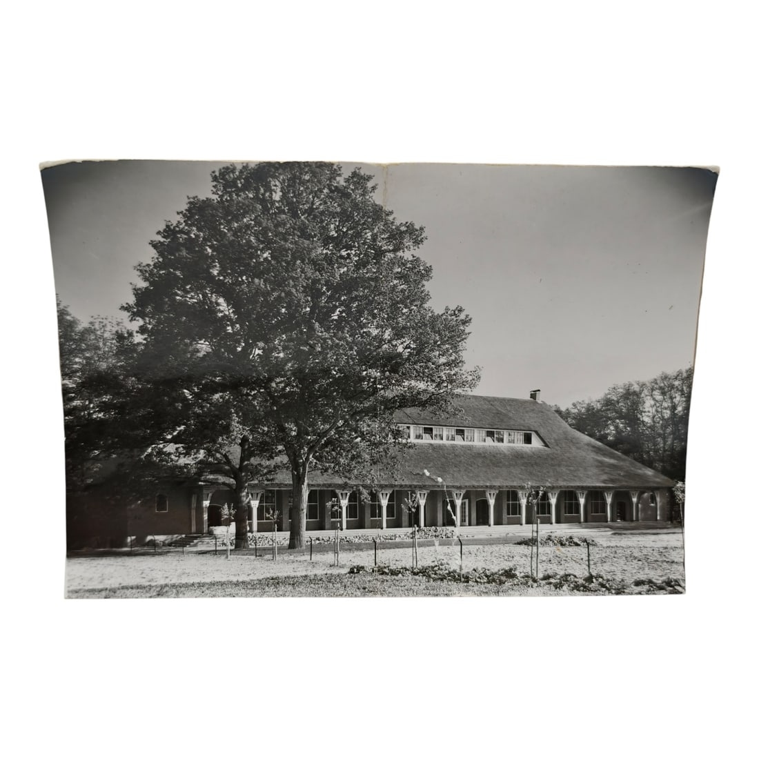 Unpublished Dutch Waffen SS Volunteer Legion Avegoor Training Center 1943 Photograph: Unpublished Dutch Waffen SS Volunteer Legion Avegoor Training Center 1943 Photograph. Extremely rare unpublished photograph discovery from the Dutch Waffen SS training center in Avegoor, Netherlands.