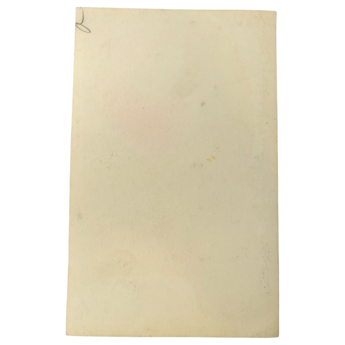 Adolf Hitler Postcard - 2