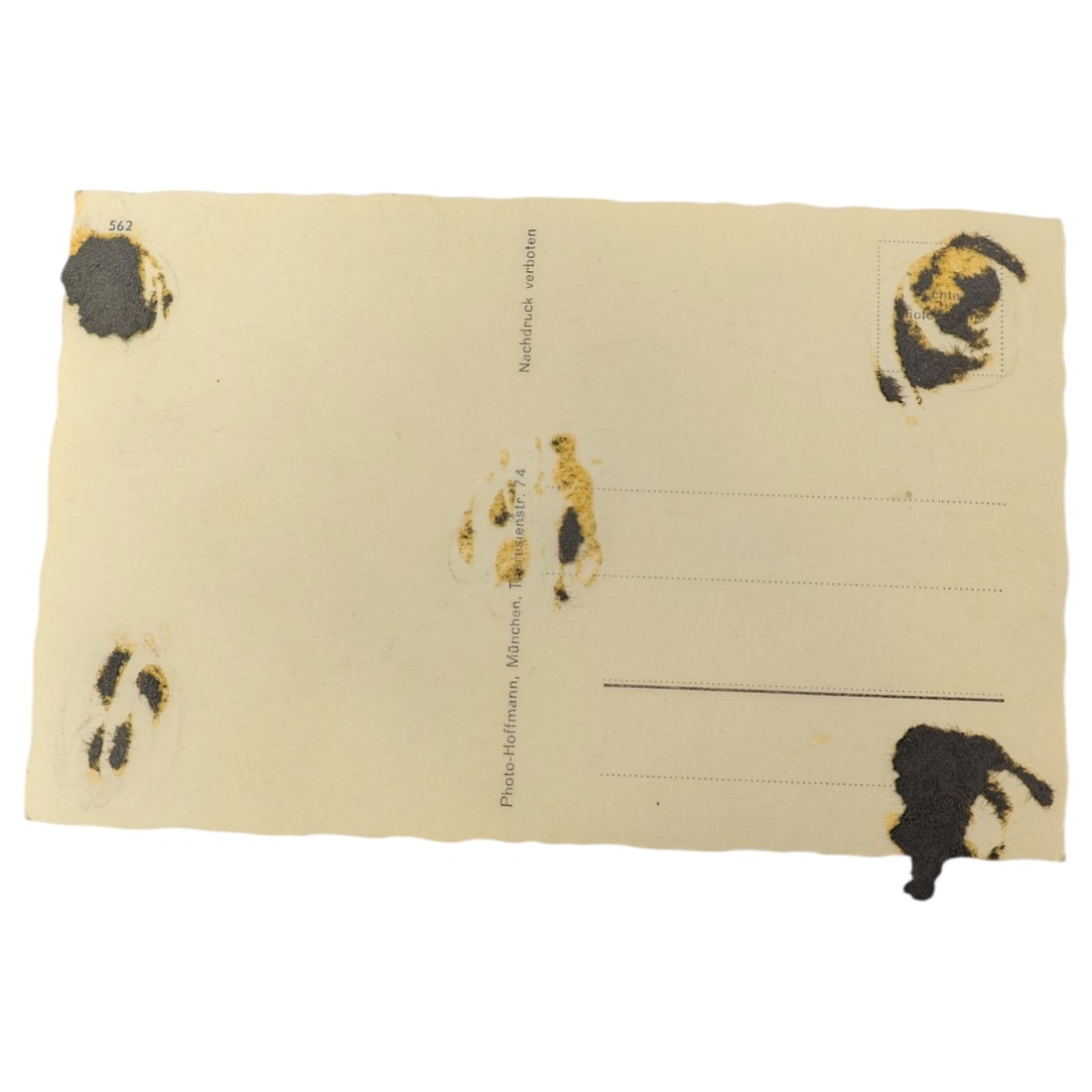 Adolf Hitler Postcard - 2