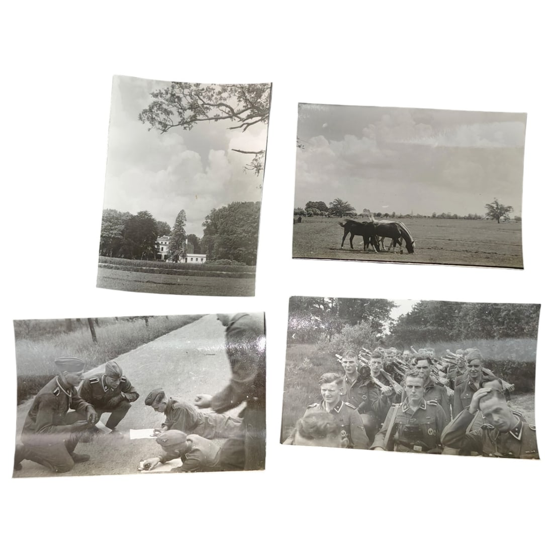 Unpublished Dutch Waffen SS Volunteer Legion Avegoor Training Center 1943 Photograph Set: Unpublished Dutch Waffen SS Volunteer Legion Avegoor Training Center 1943 Photographs. Extremely rare unpublished photograph discovery from the Dutch Waffen SS training center in Avegoor, Netherlands.