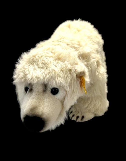 Steiff Polar Bear 062858 Original on the tag  Tierlebben 9" tx15"l (1 of 8)