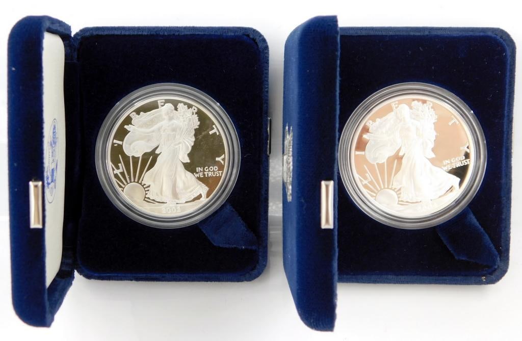 2002 W and 2004 W Silver American Eagle One Dollar Coin, w/ Box (1 of 6)