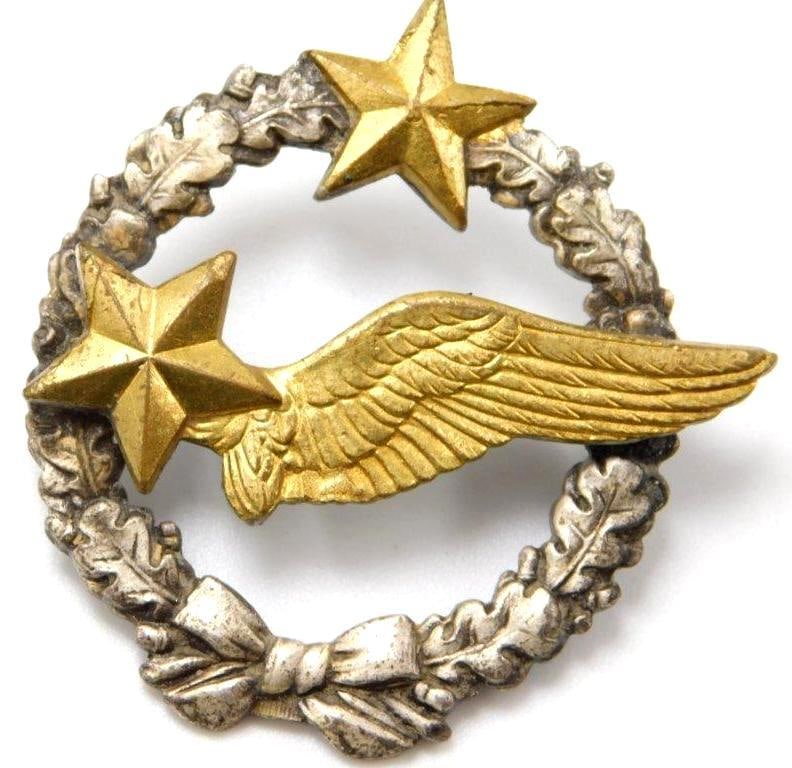 French World War II Air Force Aero Pilot Aviator Badge (1 of 4)