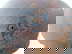 item-205820123=8