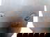 item-205820123=9