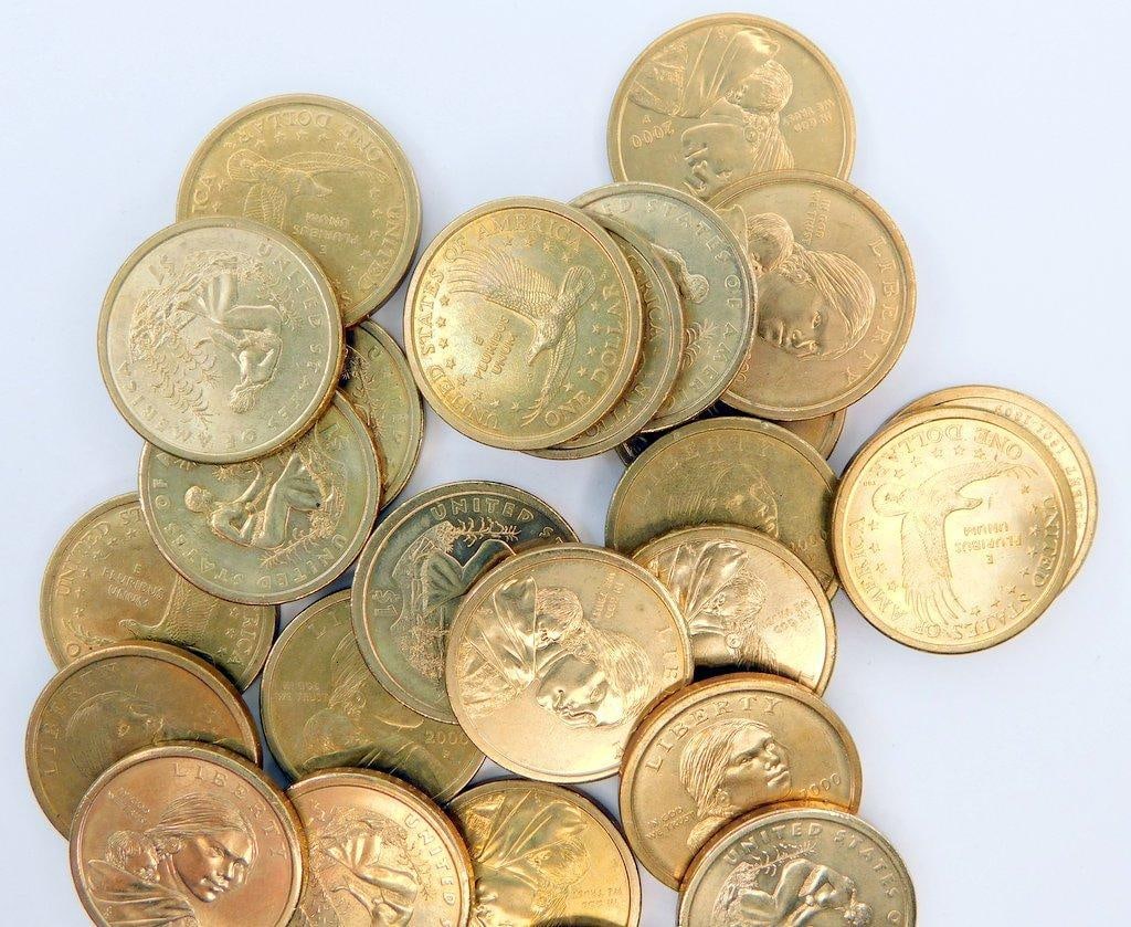 Sacagawea and Native American $1 Coins in Mixed Dates, 25 Pieces - 2