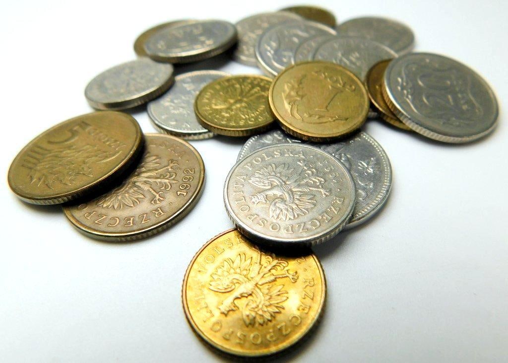 International Coins Including Polish and Netherlands Antilles Pieces - 3