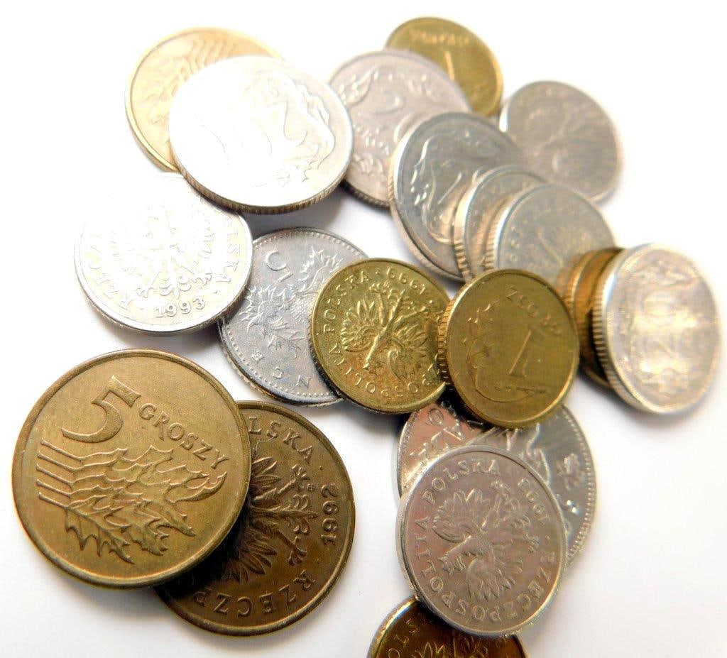 International Coins Including Polish and Netherlands Antilles Pieces - 4