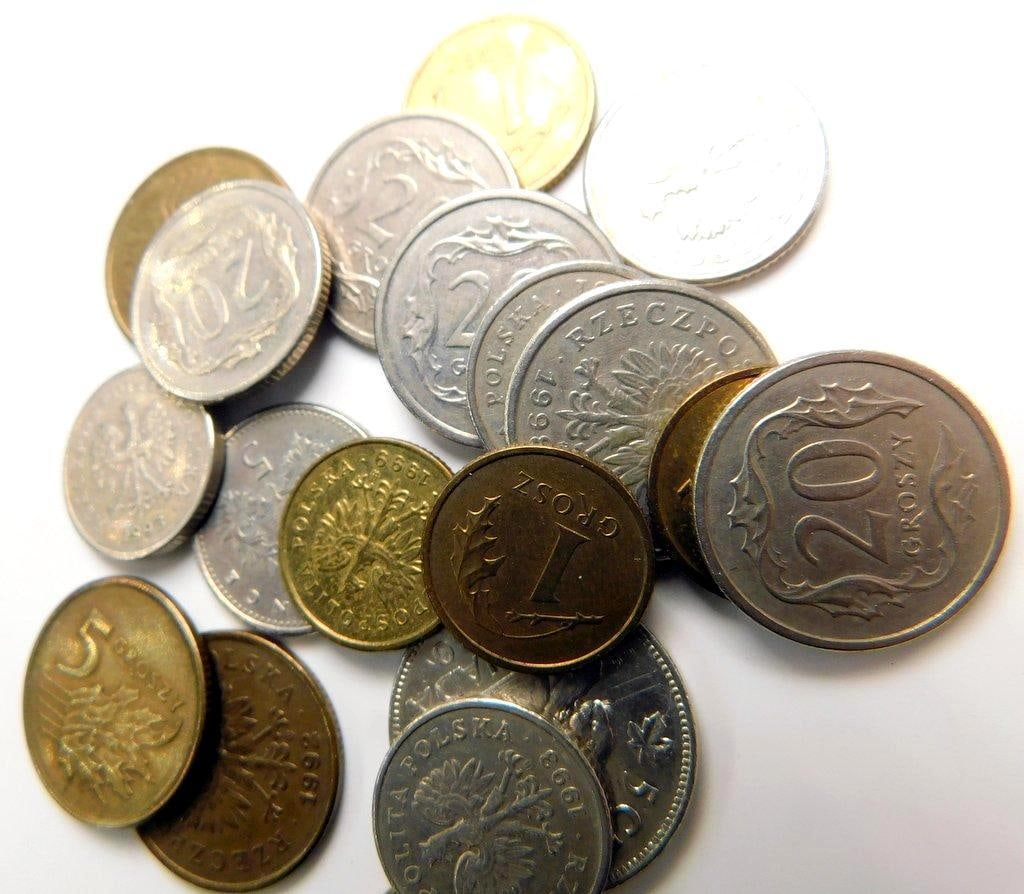 International Coins Including Polish and Netherlands Antilles Pieces - 5