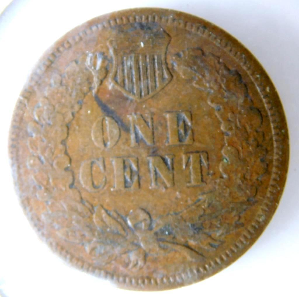 7 U.S. Coins Including 1906 Indian Head Cent and Buffalo Nickels - 3