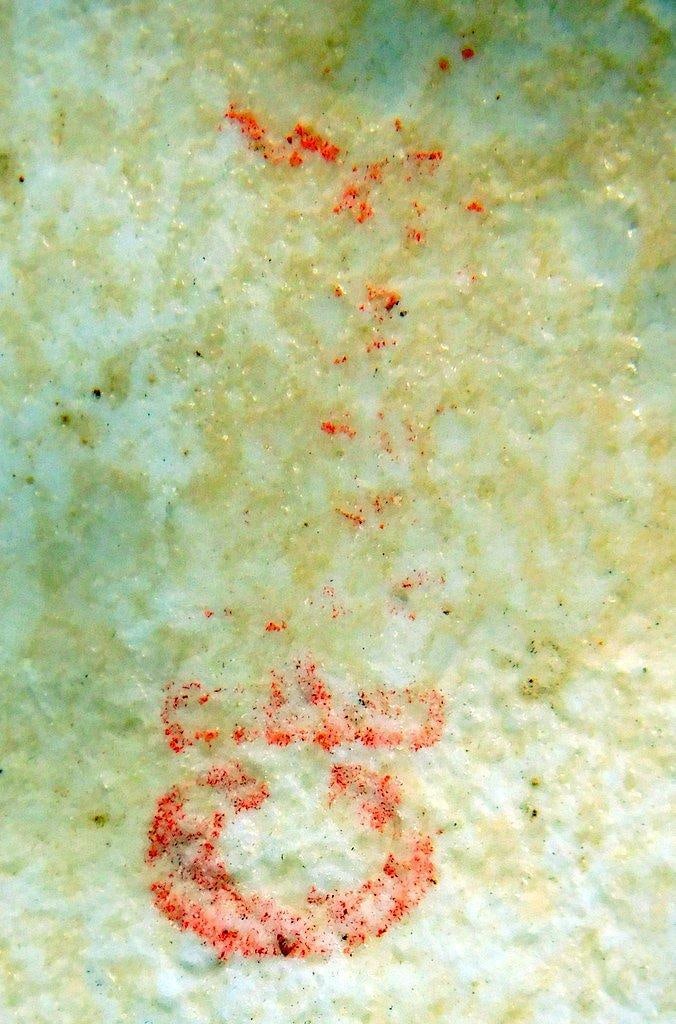 Green and Orange Ceramic Duck Figurine w/ Stamped Mark - 5