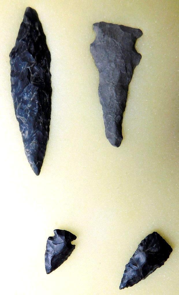 Collection of Pennsylvania Found Native American Projectile Points - 20