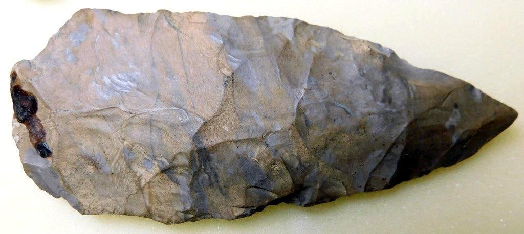 Collection of Pennsylvania Found Native American Projectile Points - 4