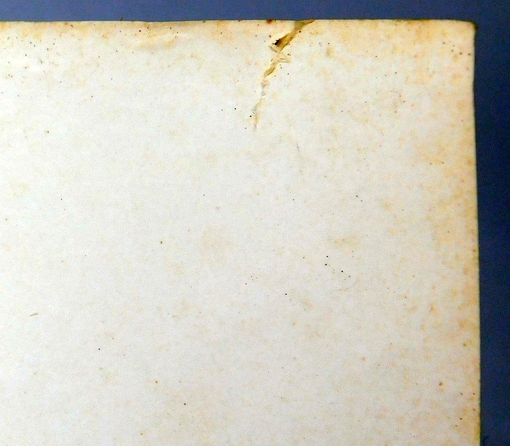 1971 Neon Park Studio 'Chemical Wedding' Comic Art Poster - 14