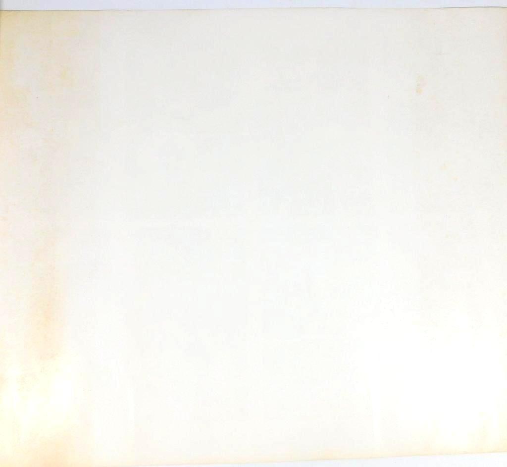 1971 Neon Park Studio 'Chemical Wedding' Comic Art Poster - 17