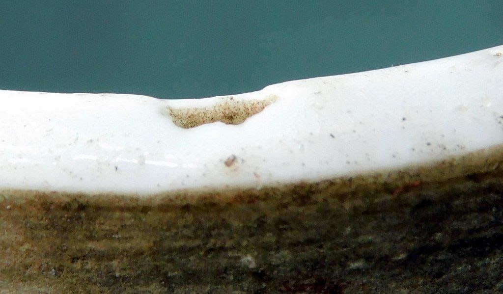 Chinese Ginger Porcelain Jar in Blue-and-White Finish - 12